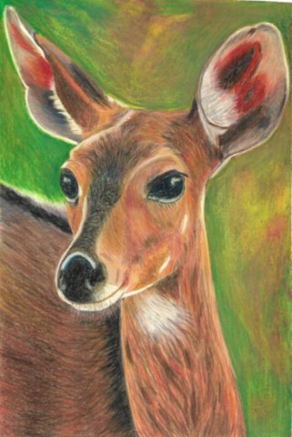 Biche