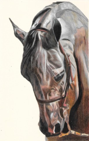 Cheval