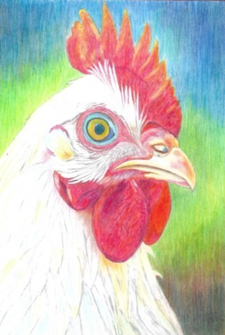 Coq