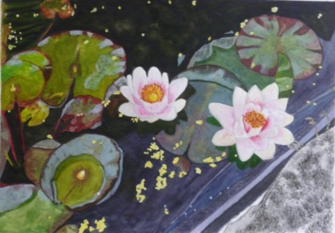 Nenuphars