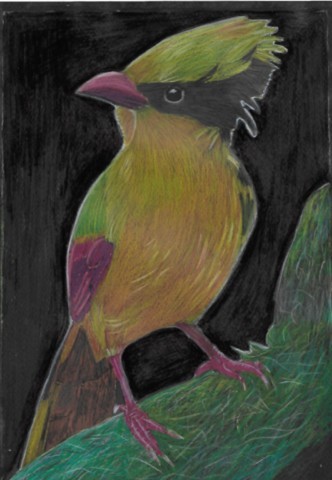 oiseau