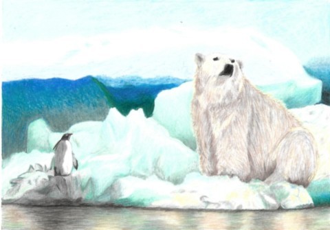 ours blanc